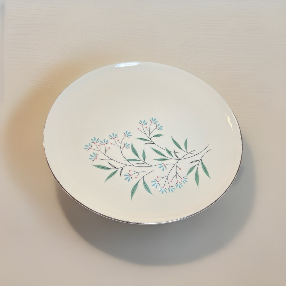 Vintage Taylor Smith Taylor Petal Lane Homemakers 10" Dinner Plate Mid Century‎